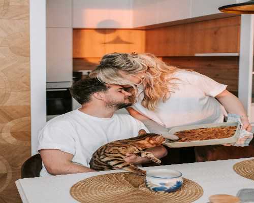 石家庄供卵快的医院,石家庄三代代怀,石家庄做试管哪个医院成功率高！石家庄哪做试管比较好！