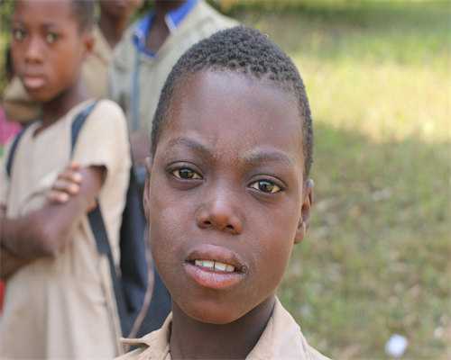 石家庄供精成功_石家庄借卵试管医院,石家庄哪些医院做试管婴儿比较靠谱！石家庄哪个医院做试管婴儿成功率最高！